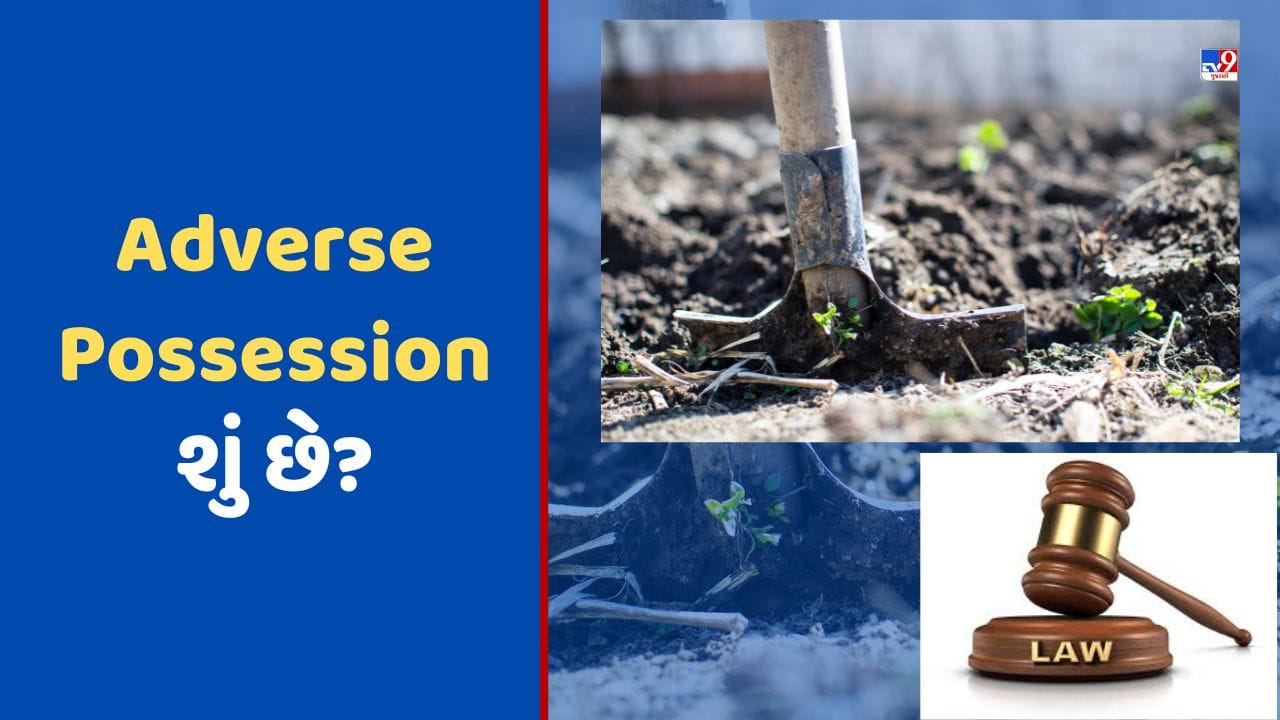 Adverse Possession શું છે? તમે કેવી રીતે અને ક્યારે બની શકો છો કોઈ