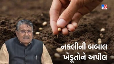 Gujarati Video: ખેડૂતોએ બિયારણની ખરીદી બિલ સાથે કરવા કૃષિ મંત્રીની અપીલ, સરકાર નકલી બિયારણ વેચતા લોકો સામે કરી રહી છે કાર્યવાહી Gujarati Video: ખેડૂતોએ બિયારણની ખરીદી બિલ સાથે કરવા કૃષિ મંત્રીની અપીલ, સરકાર નકલી બિયારણ વેચતા લોકો સામે કરી રહી છે કાર્યવાહી