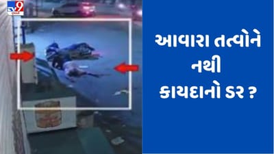 Ahmedabad: પૂર્વ વિસ્તારમાં ગુનેગારો બેફામ, જાહેરમાં મારામારીની ઘટના CCTVમાં કેદ, જુઓ Video
