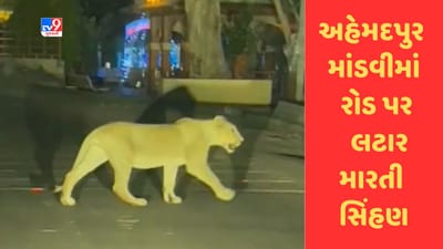 Gir Somnath : અહેમદપુર માંડવીમાં મુખ્ય માર્ગ પર લટાર મારતી સિંહણ, જુઓ Video