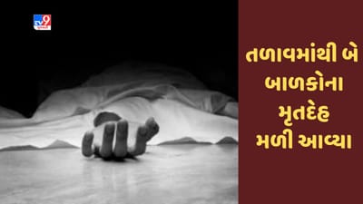 Gujarati Video : અંબાજી નજીક તળાવમાંથી બે બાળકોના મૃતદેહ મળી આવ્યા, તપાસ શરૂ