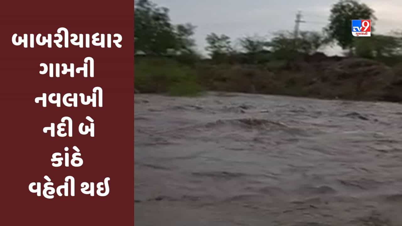 Amreli : બાબરીયાધાર ગામની નવલખી નદી બે કાંઠે વહેતી થઇ, વહેતા પાણીમાં ફસાયેલા બે યુવકોનો બચાવ, જુઓ Video