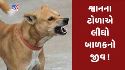 Breaking news : અમરેલીના દામનગર નજીક શ્વાનના ટોળાએ બાળક પર કર્યો હુમલો, ૩ વર્ષના બાળકનું મોત