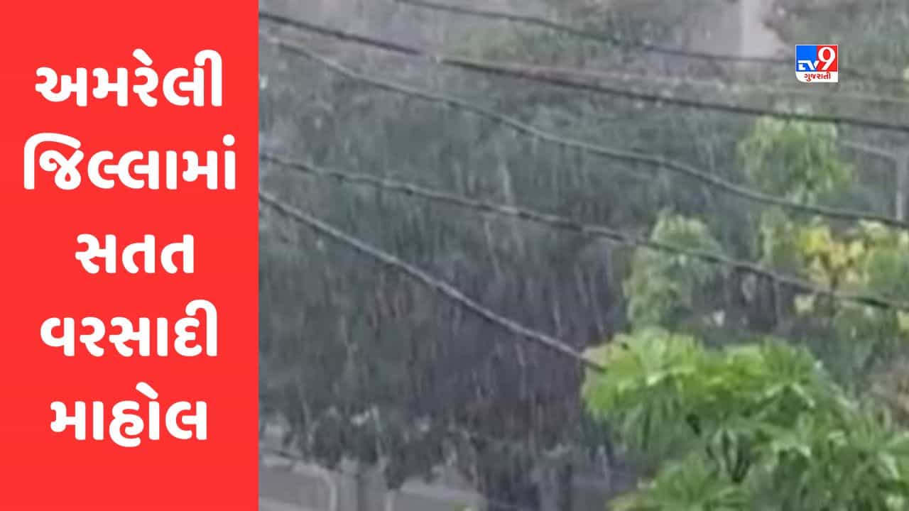 Gujarati Video : અમરેલી જિલ્લામાં સતત આઠમાં દિવસે વરસાદી માહોલ, ઉનાળુ પાકને નુકસાનની ભીતિથી ખેડૂતો પરેશાન
