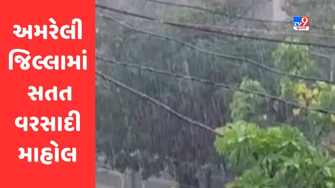 Gujarati Video : અમરેલી જિલ્લામાં સતત આઠમાં દિવસે વરસાદી માહોલ, ઉનાળુ પાકને નુકસાનની ભીતિથી ખેડૂતો પરેશાન