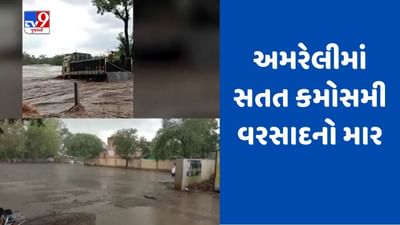 Gujarati Video: અમરેલીમાં સતત છઠ્ઠા દિવસે માવઠાથી લોકો થયા ત્રસ્ત, નદીઓમાં આવ્યા પાણી Gujarati Video: અમરેલીમાં સતત છઠ્ઠા દિવસે માવઠાથી લોકો થયા ત્રસ્ત, નદીઓમાં આવ્યા પાણી