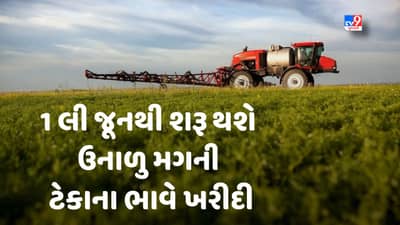 Breaking News : રાજ્ય સરકારનો ખેડૂતલક્ષી મહત્વનો નિર્ણય, 1 લી જૂનથી શરૂ થશે ઉનાળુ મગની ટેકાના ભાવે ખરીદી
