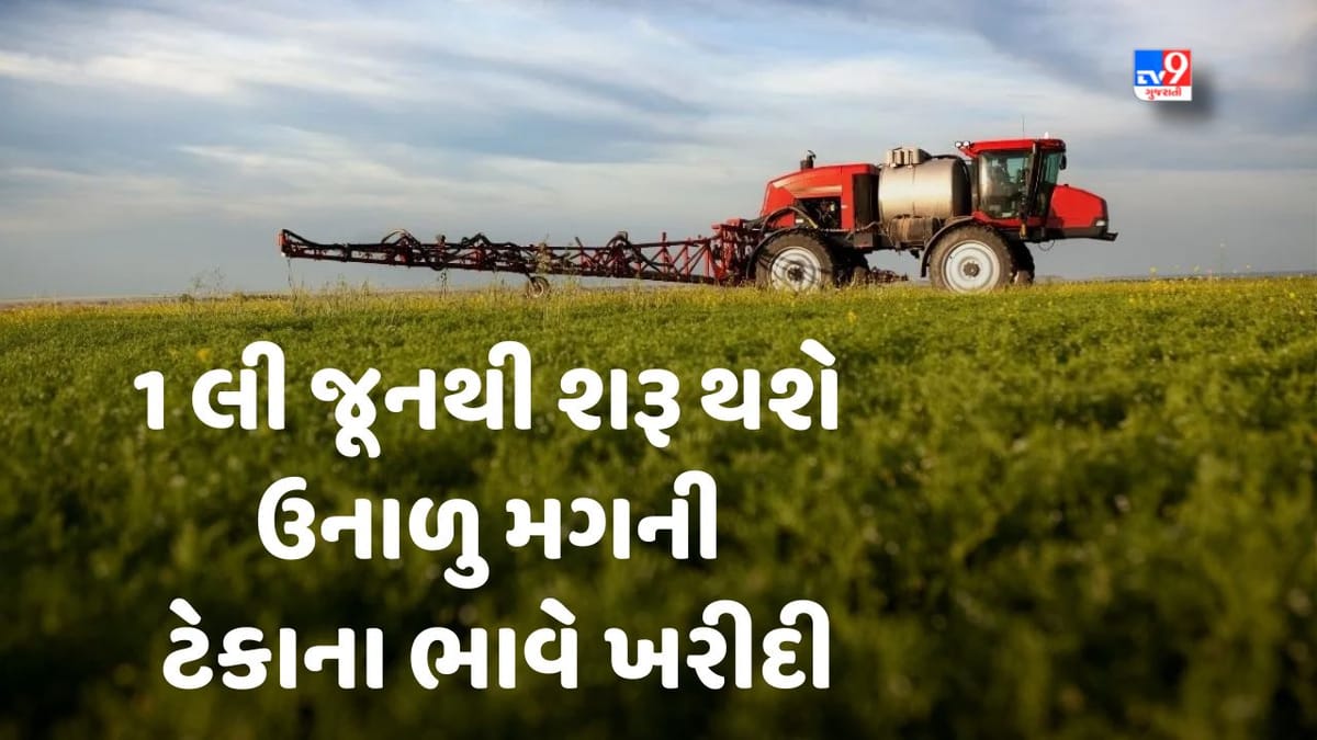 Breaking News : રાજ્ય સરકારનો ખેડૂતલક્ષી મહત્વનો નિર્ણય, 1 લી જૂનથી શરૂ થશે ઉનાળુ મગની ટેકાના ભાવે ખરીદી