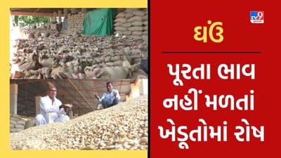 Rajkot: ઉપલેટા યાર્ડમાં ઘઉંના પૂરતા ભાવ ન મળતાં ખેડૂતોમાં રોષ, જુઓ Video