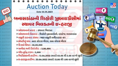 Auction Today : બનાસકાંઠાની શિહોરી GIDC માં સ્થાવર મિલકતની ઇ- હરાજી, જાણો વિગતો