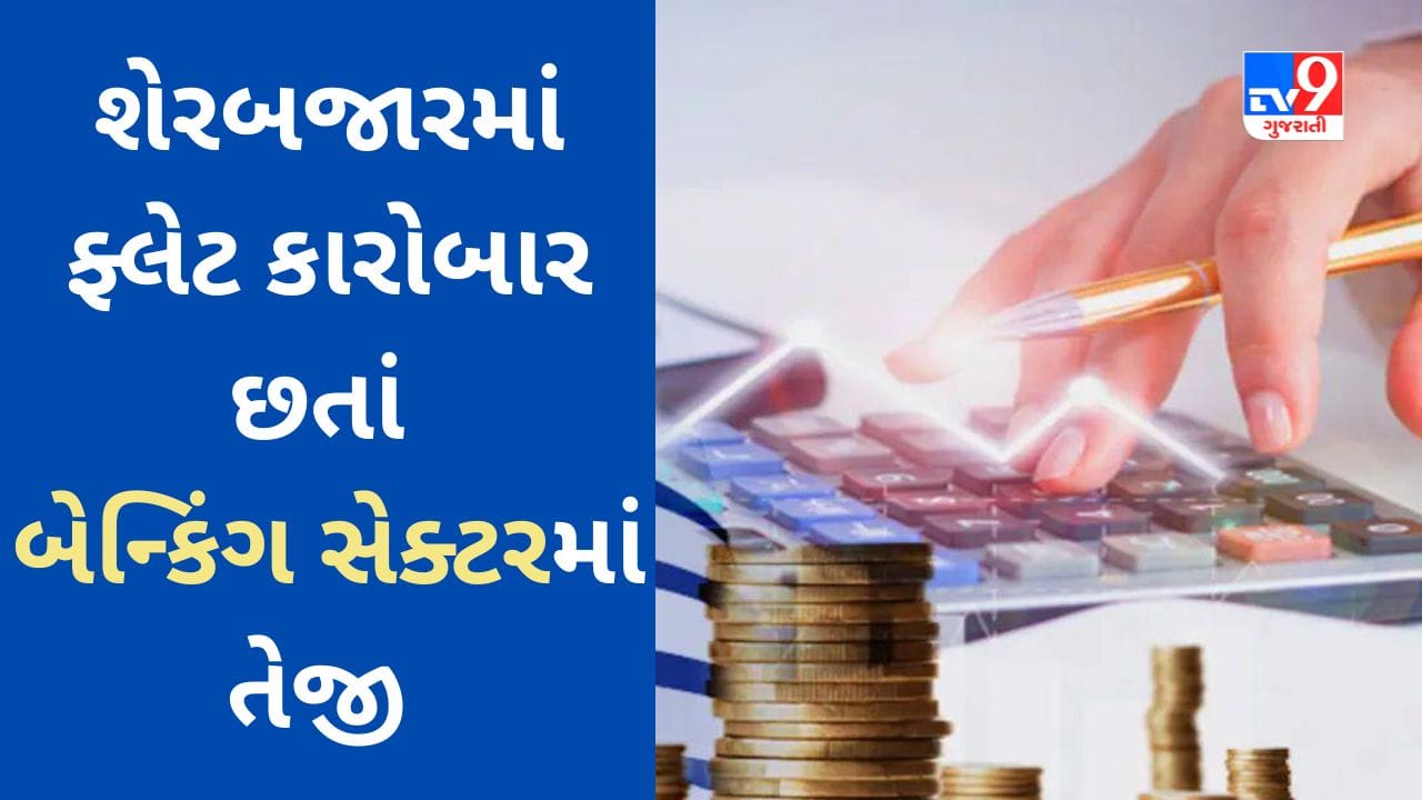 શેરબજારમાં ફ્લેટ કારોબાર છતાં બેન્કિંગ સેક્ટરના શેર્સમાં તેજી, Nifty