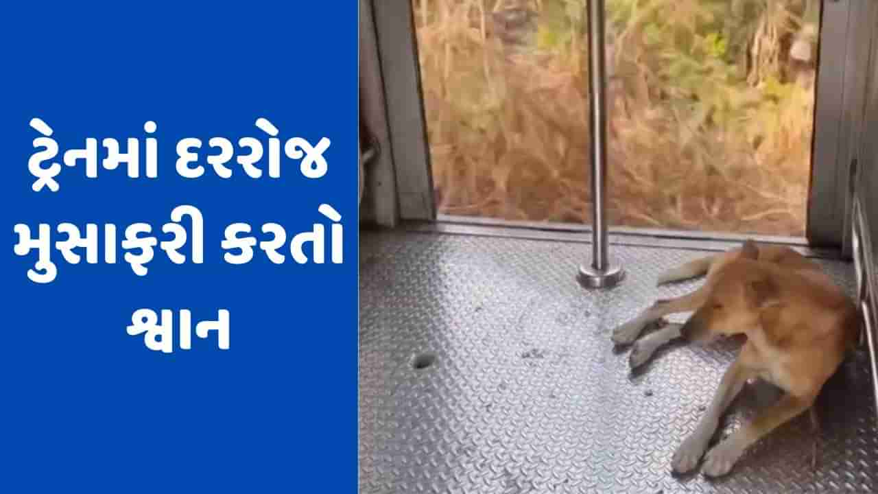 Viral Video : મુંબઈ લોકલ ટ્રેનમાં રોજ એકલો પ્રવાસ કરે છે આ શ્વાન, ચોંકાવનારો વીડિયો થયો વાયરલ