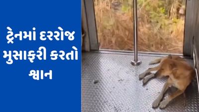 Viral Video : મુંબઈ લોકલ ટ્રેનમાં રોજ એકલો પ્રવાસ કરે છે આ શ્વાન, ચોંકાવનારો વીડિયો થયો વાયરલ