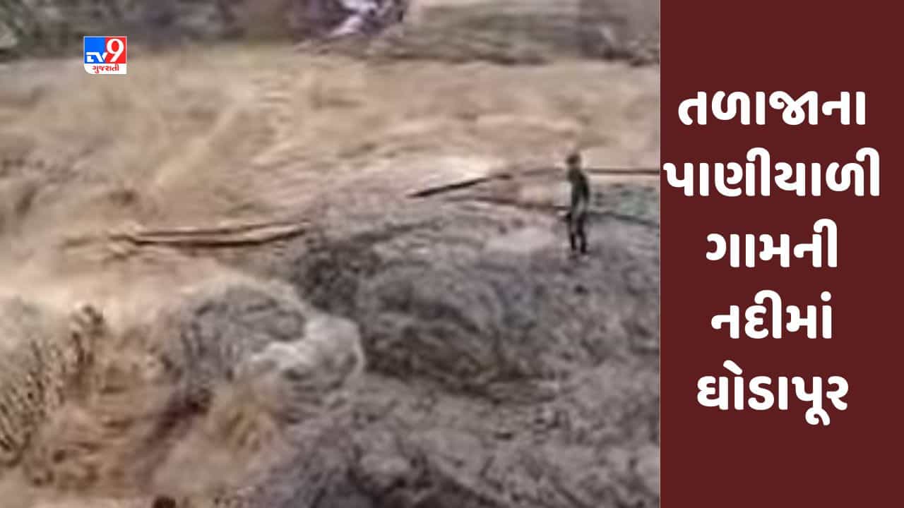 Bhavnagar: ભાવનગરમાં તળાજાના પાણીયાળી ગામની નદીમાં ઘોડાપૂર, જુઓ Video