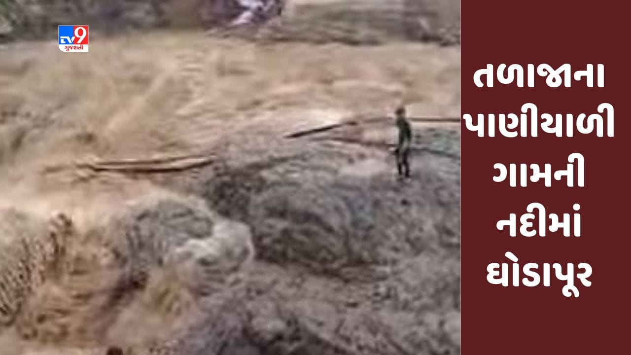 Bhavnagar: ભાવનગરમાં તળાજાના પાણીયાળી ગામની નદીમાં ઘોડાપૂર, જુઓ Video Bhavnagar: ભાવનગરમાં તળાજાના પાણીયાળી ગામની નદીમાં ઘોડાપૂર, જુઓ Video