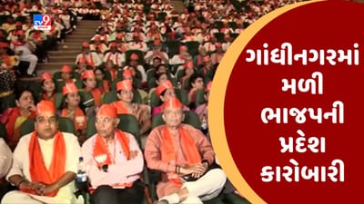 અમદાવાદમાં ભાજપની પ્રદેશ કારોબારીની બેઠક મળી, ‘9 સાલ, બેમિસાલ'નું સૂત્ર લોકો સુધી પહોંચાડવાનો લેવાયો સંકલ્પ, જુઓ Video