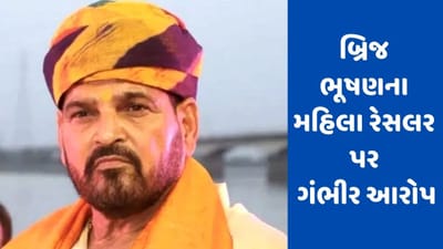 'વિનેશ ફોગાટ મારા માટે મંથરા..', બ્રિજ ભૂષણે કુસ્તીબાજો પર લગાવ્યા ગંભીર આરોપ, કહ્યું- આ બધુ એક કાવતરું