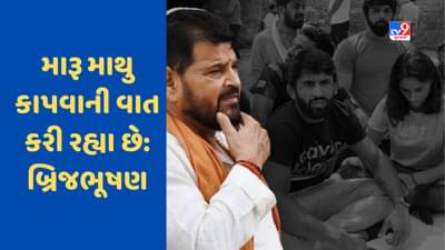 ખાલિસ્તાન તરફ આગળ વધી રહ્યું છે કુસ્તીબાજોનું આંદોલન, માથુ કાપવાની કરી રહ્યા છે વાત: બ્રિજ ભૂષણ