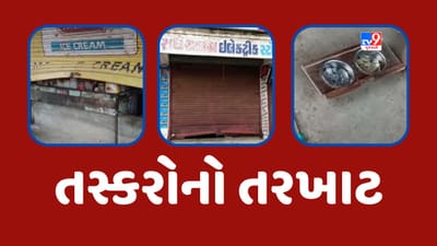 Gujarati Video: અરવલ્લીમાં ઘરફોડ ચોરીની ઘટના, 5 દુકાનના તાળા તોડી તસ્કરોએ મચાવ્યો આતંક