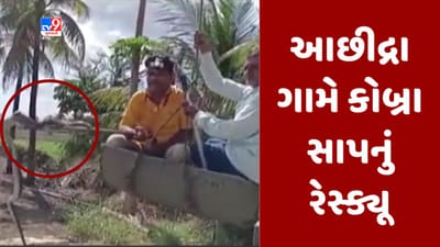 Gujarati video : વેરાવળના આછીદ્રા ગામે કુવામાંથી કોબ્રા સાપનું કરાયુ રેસ્ક્યૂ, સાપને સલામત સ્થળે ખસેડાયો