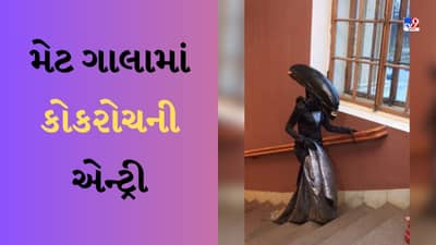 Cockroach Entry Video : મેટ ગાલામાં કોકરોચે લીધી અનોખી એન્ટ્રી, સ્ટાર્સને છોડીને કેમેરામેન વંદાનું શુટિંગ કરવા લાગ્યો