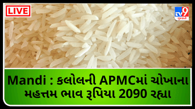 Mandi : કલોલની APMCમાં ચોખાના મહત્તમ ભાવ રૂપિયા 2090 રહ્યા, જાણો જુદા-જુદા પાકના ભાવ