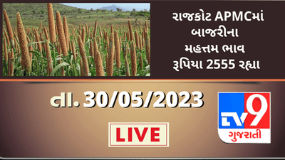 Mandi : રાજકોટ APMCમાં બાજરીના મહત્તમ ભાવ રૂપિયા 2555 રહ્યા, જાણો જુદા-જુદા પાકના ભાવ