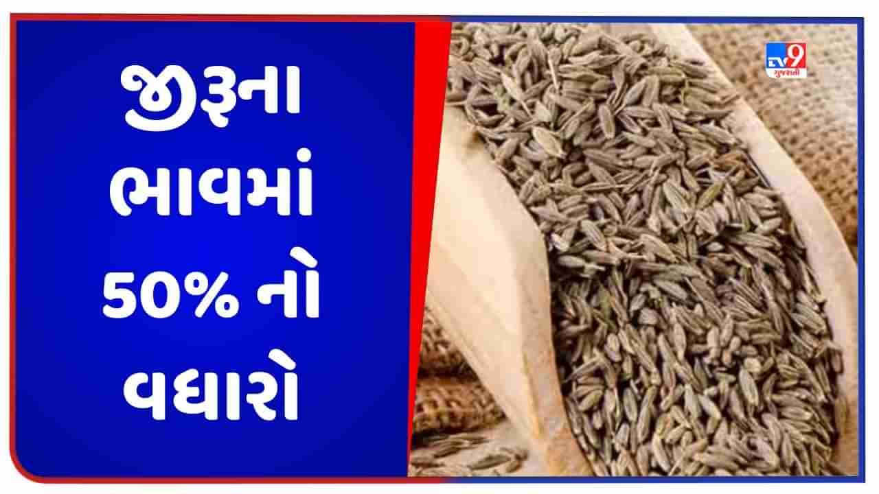 Cumin Price: ચીનમાં માગ વધવાને કારણે ભારતમાં જીરું મોંઘું થયું, થોડા મહિનામાં ભાવમાં 50%નો થયો વધારો