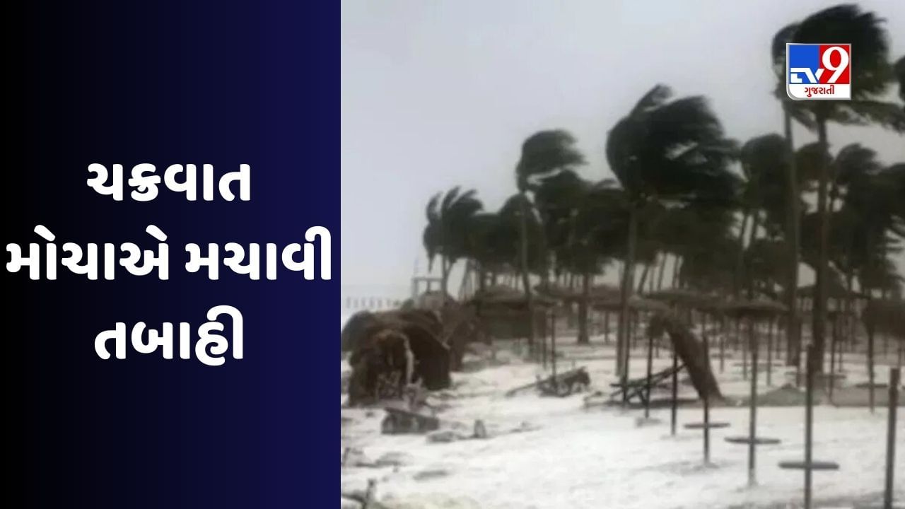 Cyclone Mocha: મોચા ચક્રવાત ફેરવાયું ભીષણ વાવાઝોડામાં, બંગાળના દરિયાકાંઠા વિસ્તારોને કરાયા એલર્ટ