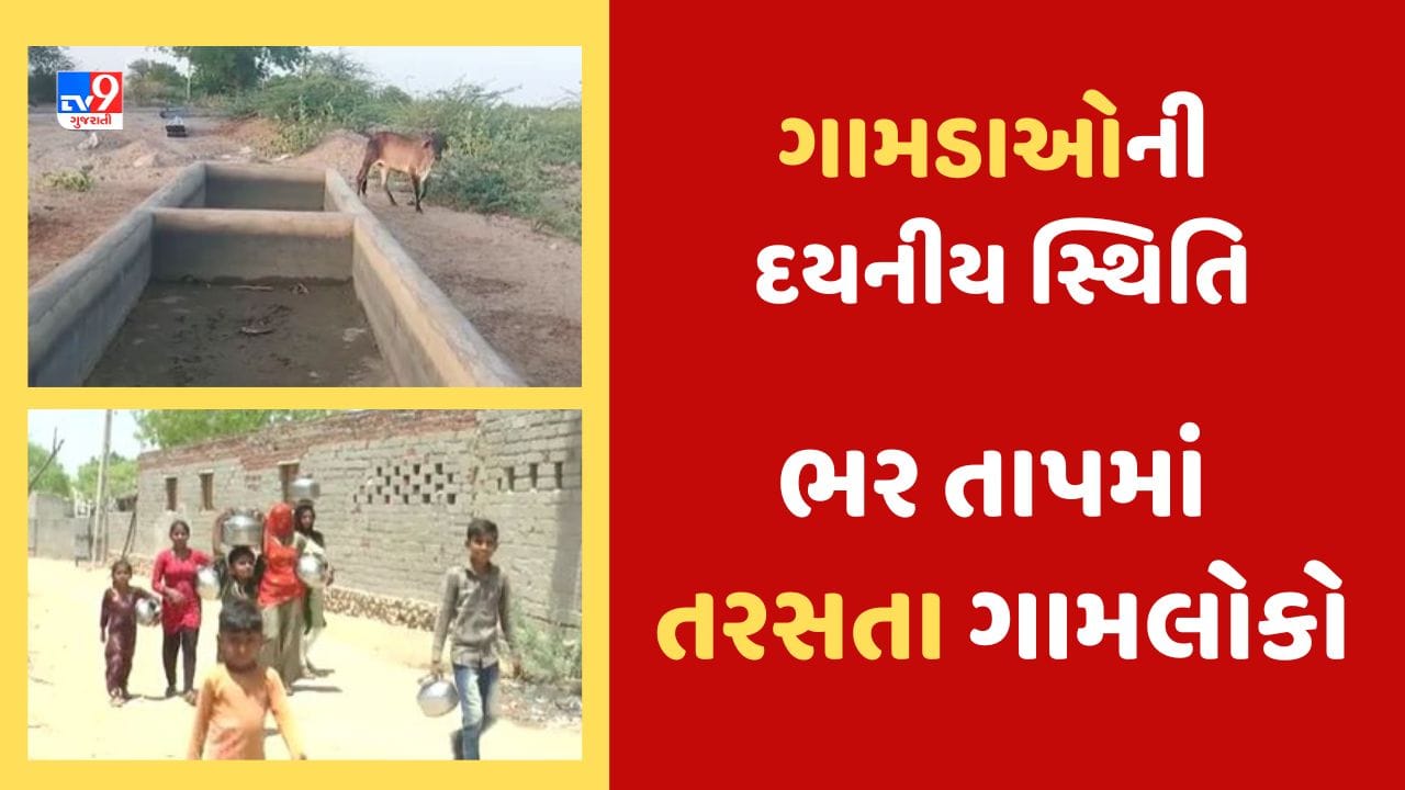 Banaskantha: ગામડાઓની દયનીય સ્થિતિ, સરહદના ગામડાઓમાં હજી પણ ‘ટેન્કર રાજ’, જુઓ Video Banaskantha: ગામડાઓની દયનીય સ્થિતિ, સરહદના ગામડાઓમાં હજી પણ ‘ટેન્કર રાજ’, જુઓ Video