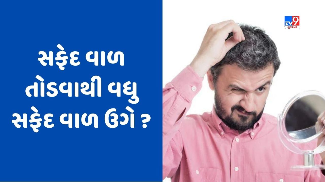 Knowledge શું ખરેખર એક સફેદ વાળ તોડવાથી વધુ સફેદ વાળ ઉગે છે? જાણો કેમ