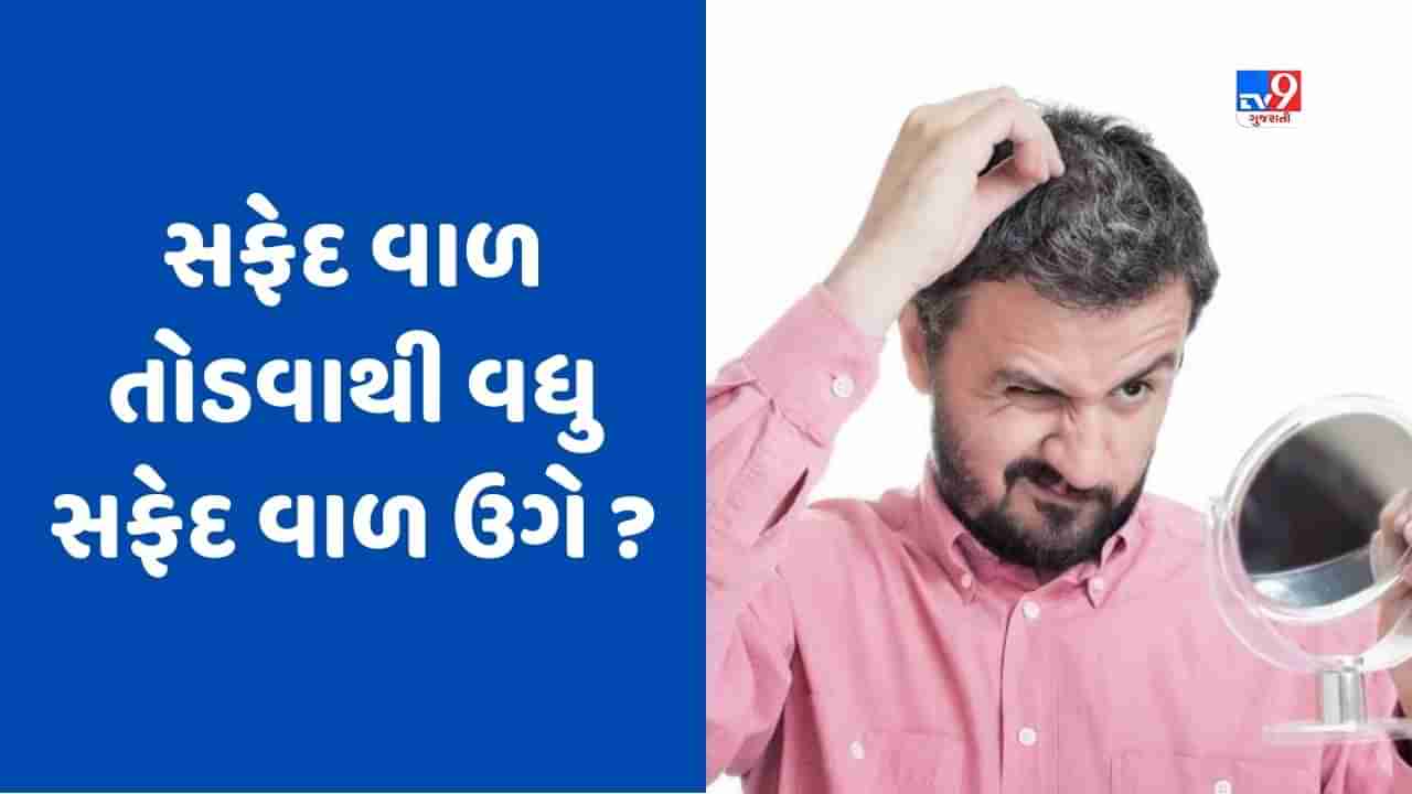 Knowledge: શું ખરેખર એક સફેદ વાળ તોડવાથી વધુ સફેદ વાળ ઉગે છે? જાણો કેમ કહેવાય છે આવુ