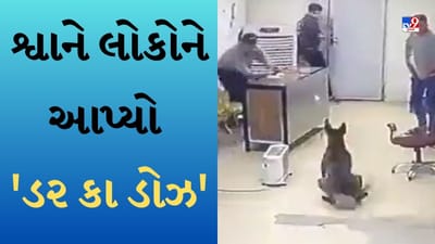 Dog Attack Viral Video : એક કૂતરાએ 7 લોકોના નાકમાં દમ કરીને રાખી દીધા, એક જ ઝાટકે આપ્યો 'ડરનો ડોઝ'