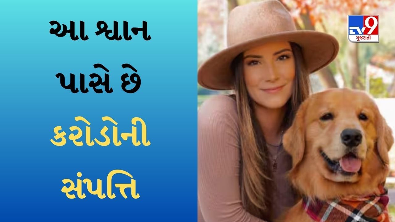 Dog On Social media : આ શ્વાન પાસે છે કરોડોની સંપત્તિ, દર વર્ષે આઠ કરોડથી વધુ કમાય છે, ફોલોઅર્સ પણ કરોડોમાં