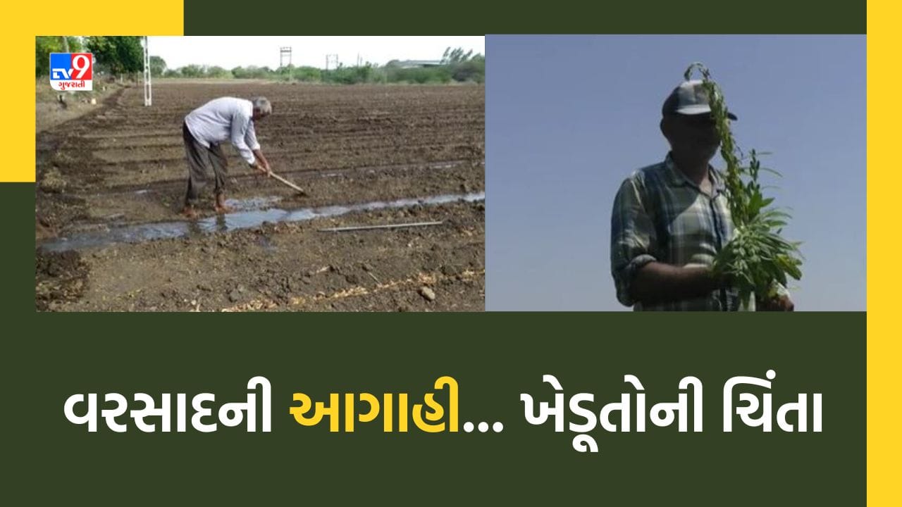 Gujarat Weather : રાજ્યના કેટલાક જિલ્લાઓમાં ભારે પવન સાથે કમોસમી વરસાદની આગાહી, જુઓ Video Gujarat Weather : રાજ્યના કેટલાક જિલ્લાઓમાં ભારે પવન સાથે કમોસમી વરસાદની આગાહી, જુઓ Video