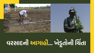 Gujarat Weather : રાજ્યના કેટલાક જિલ્લાઓમાં ભારે પવન સાથે કમોસમી વરસાદની આગાહી, જુઓ Video