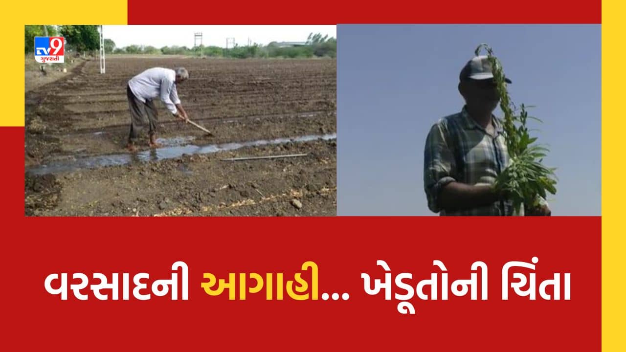 Gujarati Video: કમોસમી વરસાદની આગાહીના કારણે ખેડૂતોમાં વધી ચિંતા, તલ, અડદ, મગ અને બાજરી જેવા પાકોને મોટું નુકસાન થવાની ભીતિ