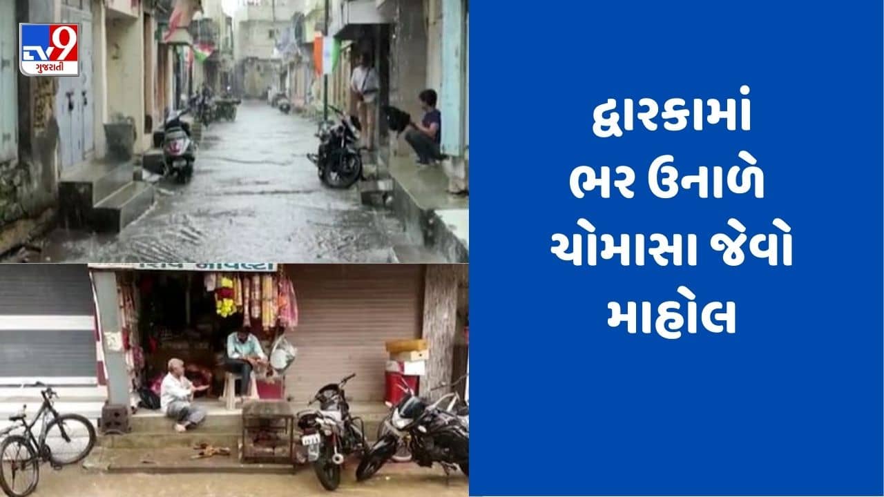 Gujarati Video: દ્વારકામાં ભર ઉનાળે ચોમાસા જેવો માહોલ, ગોલણ શેરડી, દુધિયામાં ભારે વરસાદ