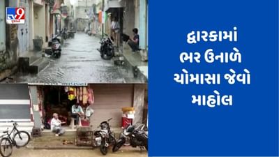Gujarati Video: દ્વારકામાં ભર ઉનાળે ચોમાસા જેવો માહોલ, ગોલણ શેરડી, દુધિયામાં ભારે વરસાદ