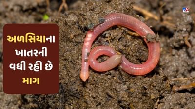 Earthworm Farming: અળસિયાના ખાતરની વધી રહી છે માગ, તેની ખેતીથી લાખો રૂપિયાની કરી શકો છો કમાણી