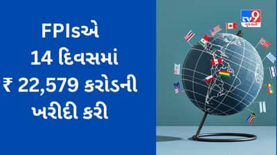 Share Market : ભારતીય શેરબજારમાં રોકાણનો FPI એ સર્જ્યો વિક્રમ, જાણો મે મહિનામાં કેટલા રૂપિયાનું કર્યું રોકાણ?