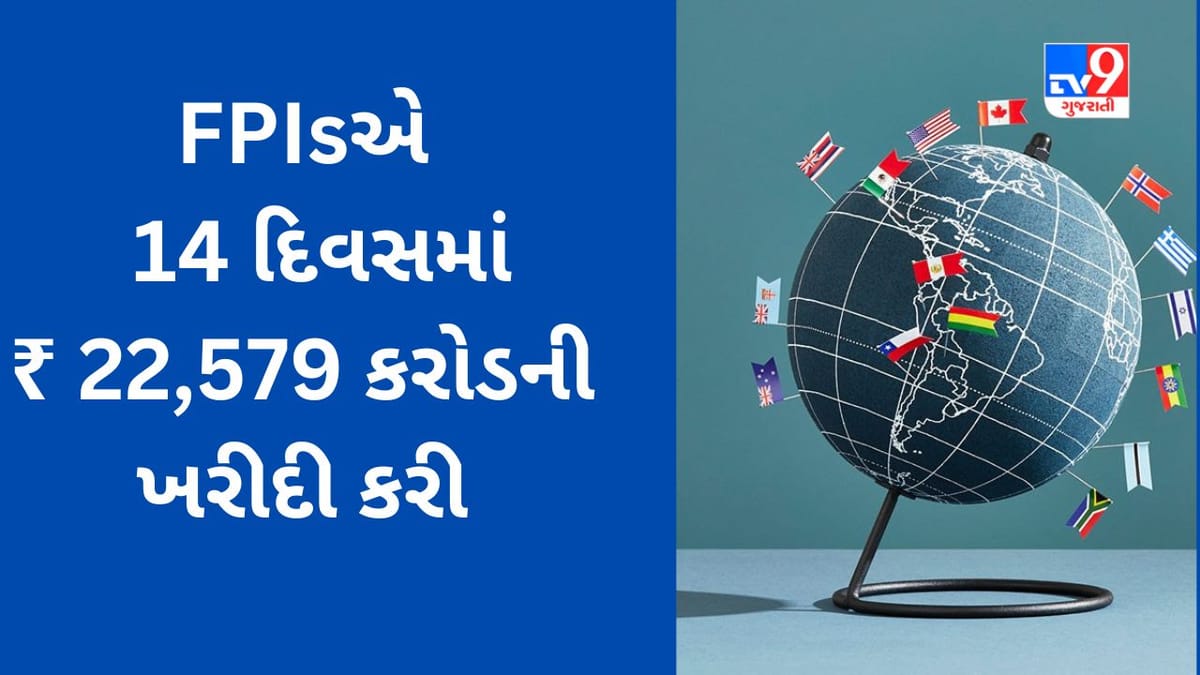 Share Market : ભારતીય શેરબજારમાં રોકાણનો FPI એ સર્જ્યો વિક્રમ, જાણો મે મહિનામાં કેટલા રૂપિયાનું કર્યું રોકાણ?