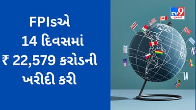 Share Market : ભારતીય શેરબજારમાં રોકાણનો FPI એ સર્જ્યો વિક્રમ, જાણો મે મહિનામાં કેટલા રૂપિયાનું કર્યું રોકાણ?