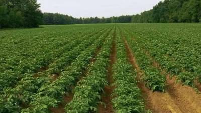 જો તમે ખેડૂત હોવ તો સરકારની આ યોજનાઓ જાણો, બસ આટલું કરીને તમારી આવક કરો બમણી