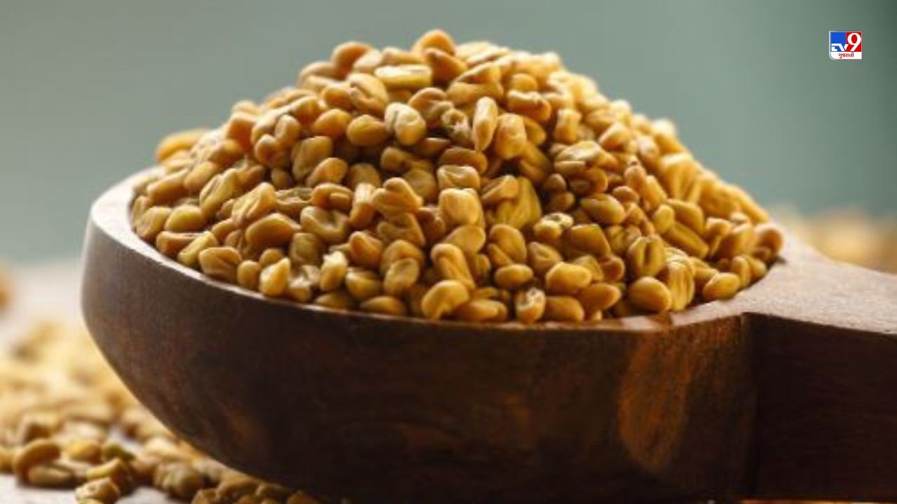 Fenugreek Seeds Benefits : આ દાણાનો ઉપયોગ મસાલા તરીકે પણ થાય છે, જે ભોજનનો સ્વાદ વધારે છે. તેમાં પ્રોટીન, ફાઈબર, વિટામિન-સી, આયર્ન અને અન્ય પોષક તત્વો હોય છે, જે સ્વાસ્થ્ય માટે જરૂરી છે. ચાલો જાણીએ કે મેથીના દાણા સ્વાસ્થ્ય માટે કેવી રીતે ફાયદાકારક છે.
