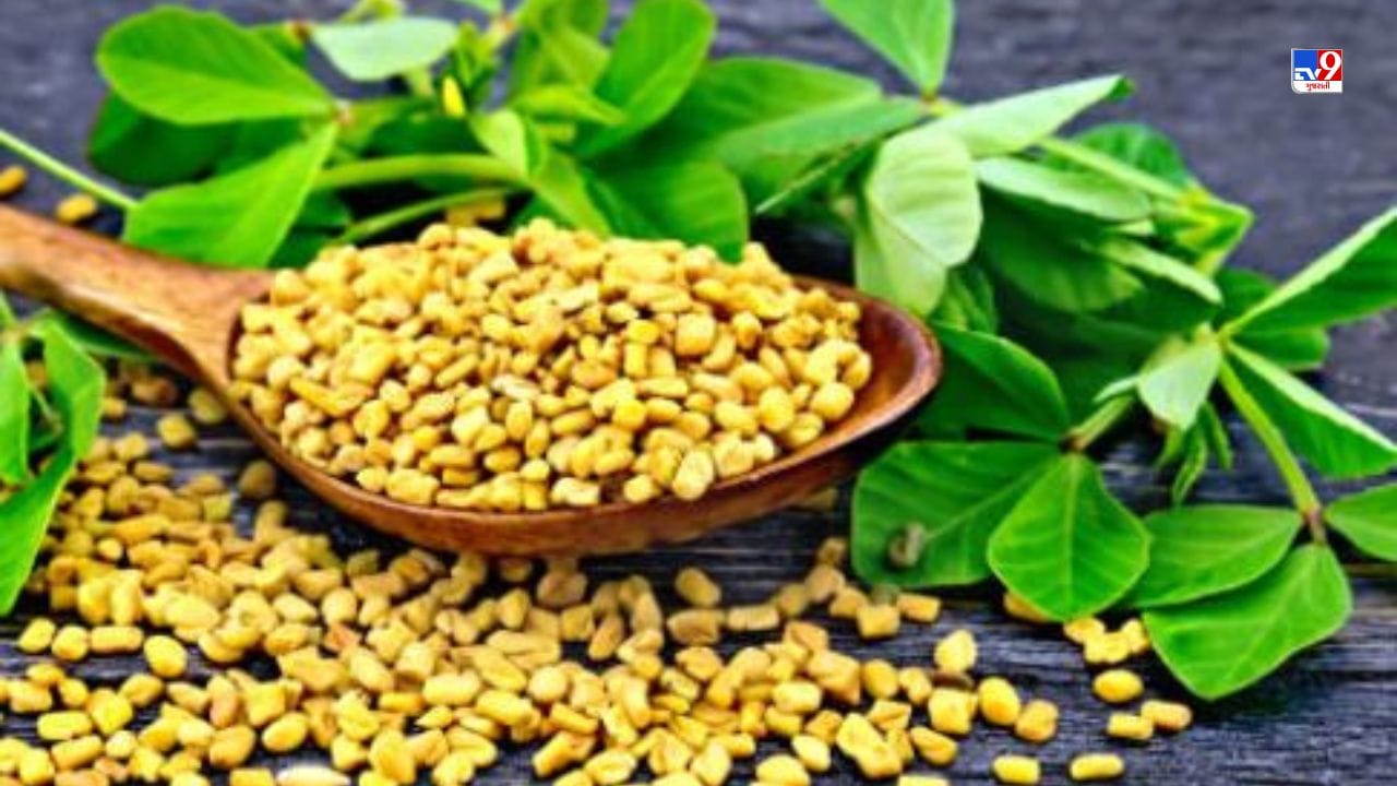 મેથીના દાણામાં ફાઈબર પૂરતી માત્રામાં જોવા મળે છે, જે કબજિયાત દૂર કરવામાં મદદરૂપ છે. તે પેટની બળતરા ઘટાડવામાં મદદરૂપ છે. નિષ્ણાંતોના મતે કબજિયાતથી રાહત મેળવવા માટે તમે દરરોજ રાત્રે સૂતા પહેલા નવશેકા પાણી સાથે મેથીના પાવડરનું સેવન કરી શકો છો.
