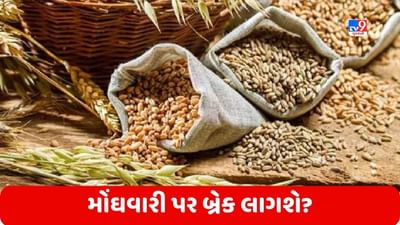 Food Grains: આ વખતે રેકોર્ડબ્રેક અનાજ ઉત્પાદન થવાની ધારણા, શું મોંઘવારી પર બ્રેક લાગશે?