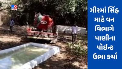 Junagadh : આકરા ઉનાળામાં ગીરમાં સિંહ પણ આકુળ વ્યાકુળ, વન વિભાગે 500 પાણીના પોઇન્ટ ઉભા કર્યા Junagadh : આકરા ઉનાળામાં ગીરમાં સિંહ પણ આકુળ વ્યાકુળ, વન વિભાગે 500 પાણીના પોઇન્ટ ઉભા કર્યા