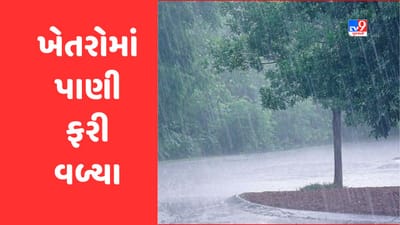 Rain Breaking : રાજકોટના ગોંડલ પંથકમાં ભારે પવન અને કરા સાથે વરસાદ, જુઓ Video
