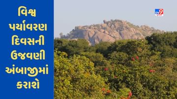 Gujarat માં વિશ્વ પર્યાવરણ દિવસની ઉજવણી અંબાજી ખાતે કરાશે, 10,000 વૃક્ષો વવાશે